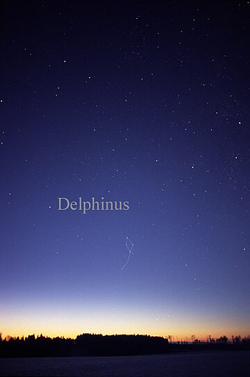 Delphinus