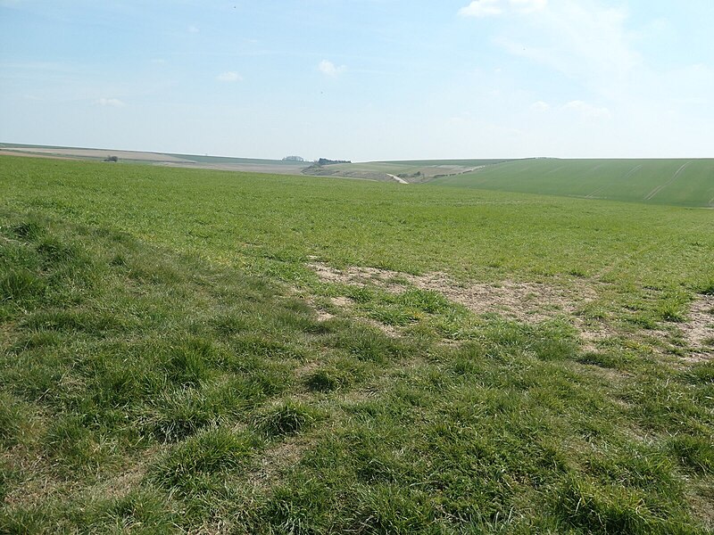 File:Disused workings, east of Wetwang Grange (geograph 6835821).jpg