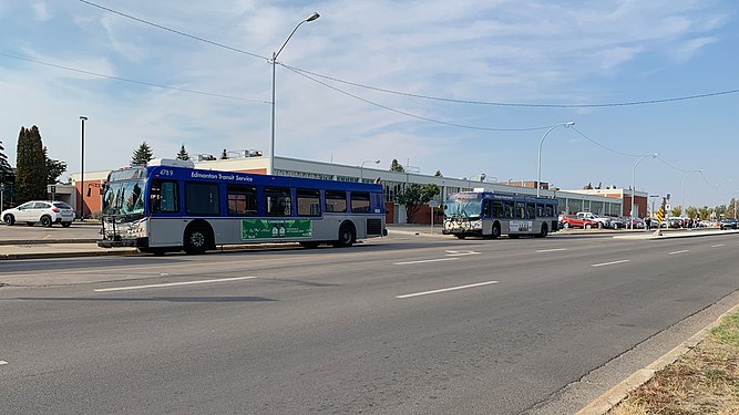 Edmonton Transit Service buses on route 8 to University forming a bus bunch