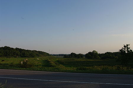 Eckernförde goossee