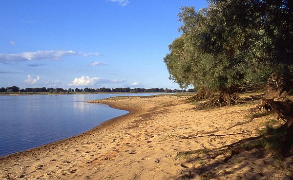 The Elbe near Gorleben