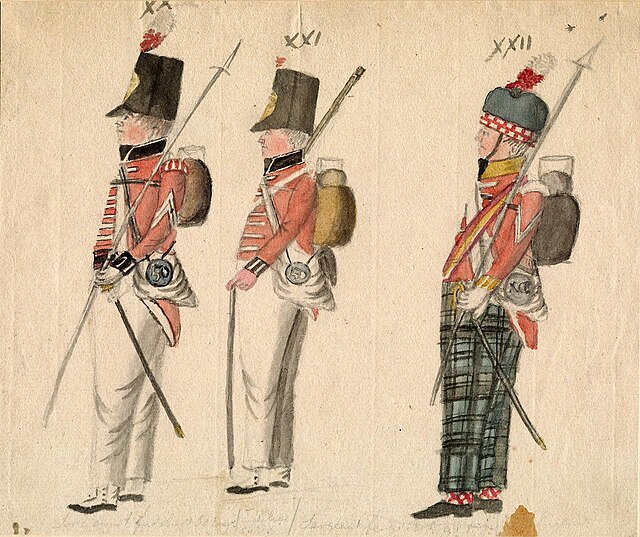 Infantry of the 50th and 91st Regiments.