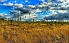 Erickson Creek Forest and Wetlands.jpg 