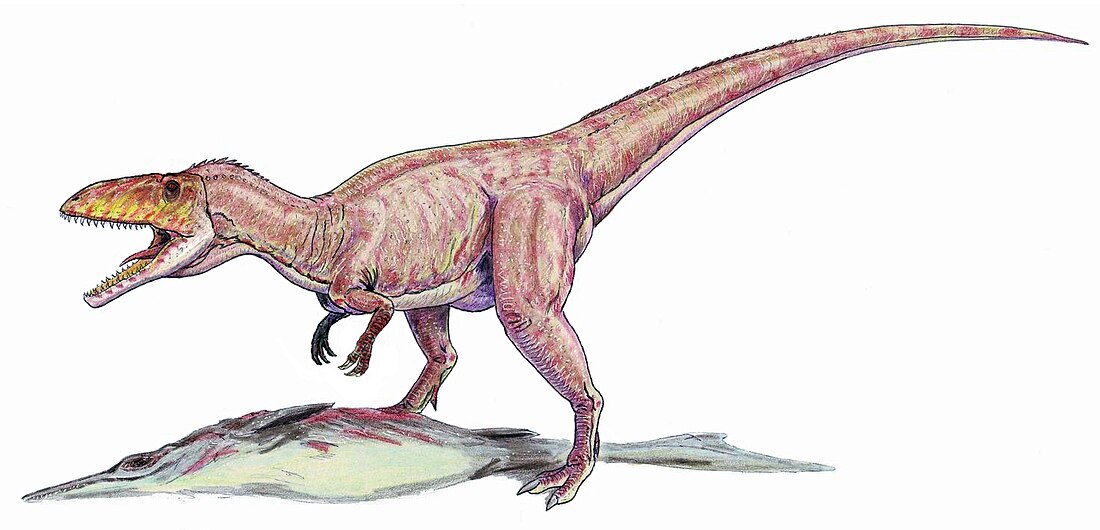 Eustreptospondylus