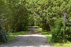 Мәңгі жасыл Hopewell шығысы, driveway.jpg