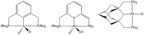 Examples of transition metal pincer complexes Examples pincer complexes.jpg