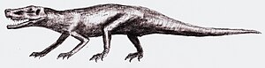 Live reconstruction of Fasolasuchus