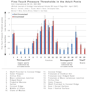 Fine-Touch-Pressure-Thresholds-in-the-Adult-Penis-02.gif