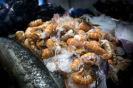 Fish shop Odden harbour 20130729 012 (9414450336).jpg