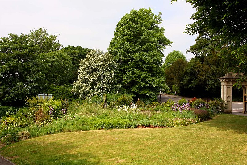 File:Flowerbed in Royal Victoria Park - geograph.org.uk - 2068144.jpg