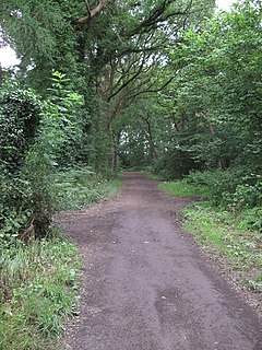 <span class="mw-page-title-main">Warburton's Wood Nature Reserve</span> Nature reserve