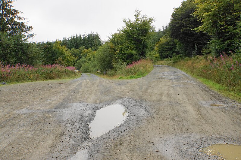 File:Forestry tracks above Siercwm - geograph.org.uk - 5894157.jpg