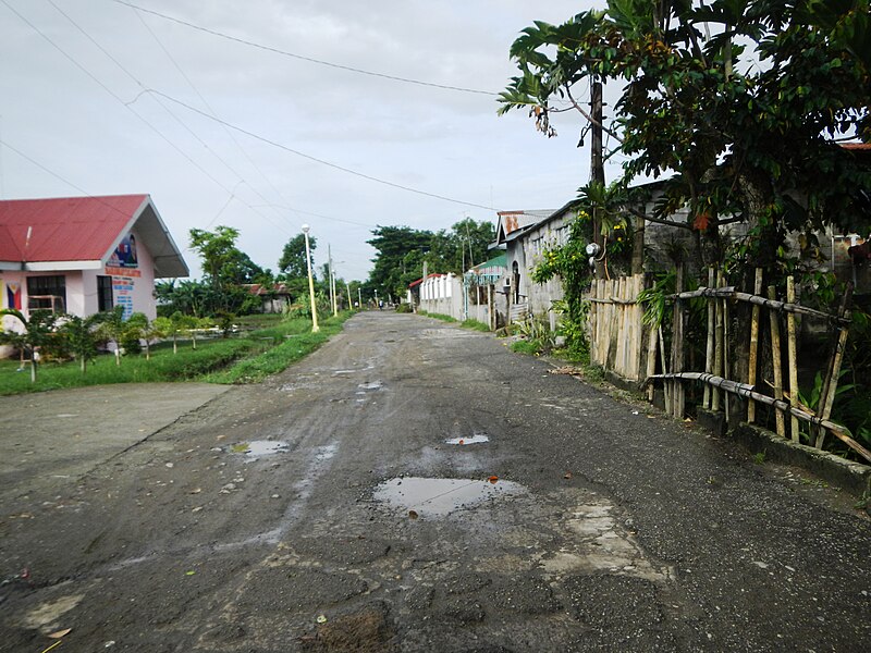 File:FvfCalantipeApalit0181 12.JPG