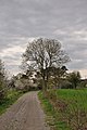 * Nomination Footpath GR 57 through Comblain-la-Tour, Hamoir, Wallonia, Belgium. --PJDespa 09:28, 23 April 2018 (UTC) * Promotion I personally would remove the flying twig on the left. Good quality. --Basotxerri 18:20, 23 April 2018 (UTC)