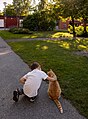 Image 990Gabriel petting a friendly cat, Smålandsvägen, Uppsala, Sweden