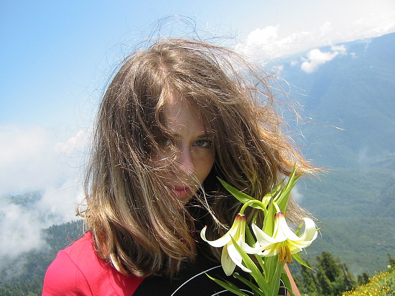 File:Gagra, Abkhazia, Lilium Flower.jpg