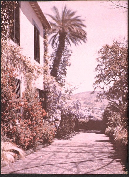 File:Garden and House in Madeira, by Sarah Angelina Acland, c.1910.jpg
