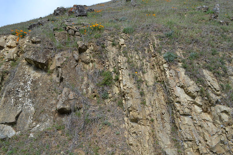 File:Geological formation in Ed R. Levin County Park, Diablo Range.JPG
