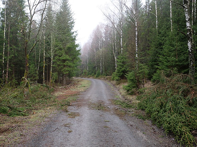 File:Glashüttenweg at Wurmberg 01.jpg