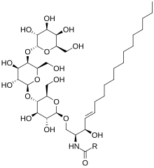 Globotriaosylceramide (R is a carbon chain) Globotriaosylceramide.svg