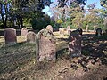 Grünstadt Jewish cemetery 4.jpg