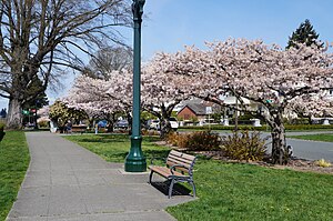 Everett, Washington