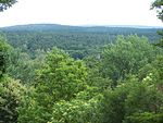 Bosque de Grunewald