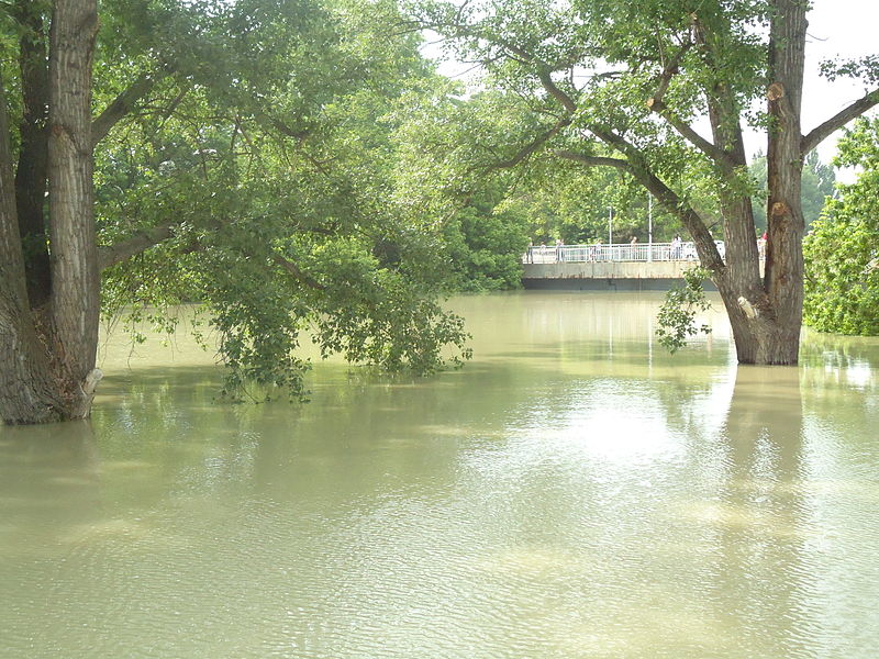 File:Győr flood, June 2013 58.JPG