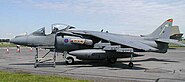 Harrier.kemble.750pix
