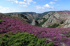 Gorges d'Héric (Rosis, Hérault).