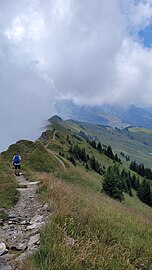 File:Hiking in Gstaad area.jpg