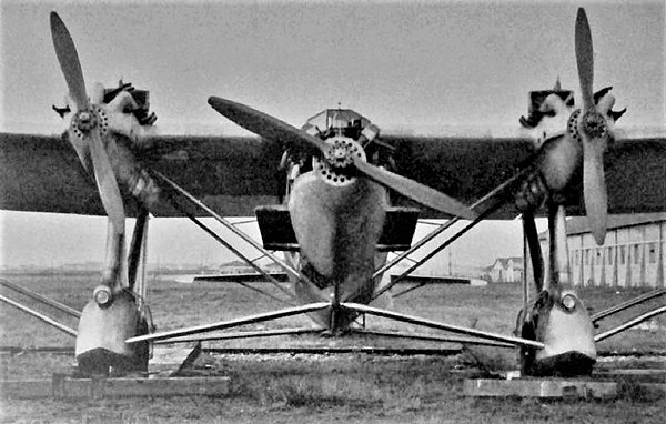 Il Caproni Ca.95 particolare.jpg