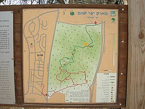 Shoham forest park