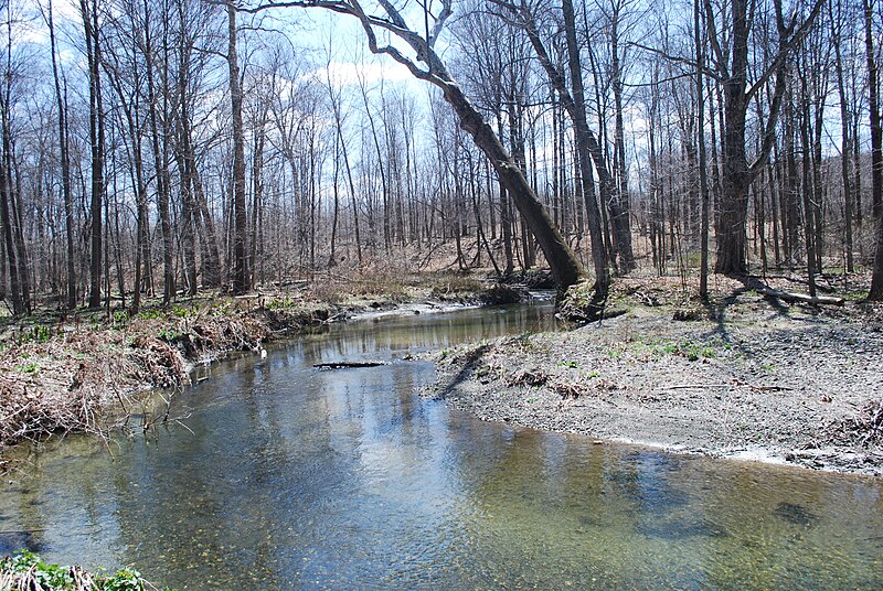 File:Jackson Creek2.JPG