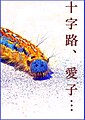 2024年3月9日 (土) 09:49時点における版のサムネイル