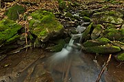 Slovenčina: Kamenistý potok, Národná prírodná rezervácia Stužica, Národný park Poloniny