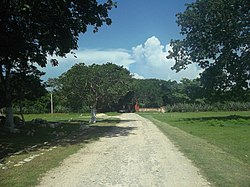 Hacienda Kancabchén Ucí'deki ana park