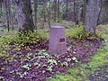 image=https://commons.wikimedia.org/wiki/File:Kloddram,_Mecklenburg-Schweriner_Halbmeilenobelisk.jpg