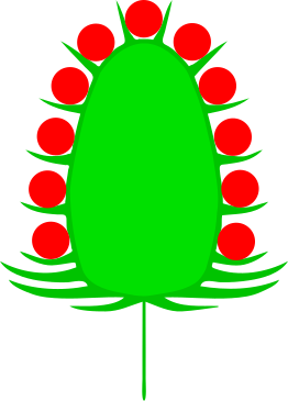 File:Koepfchen (inflorescence).svg