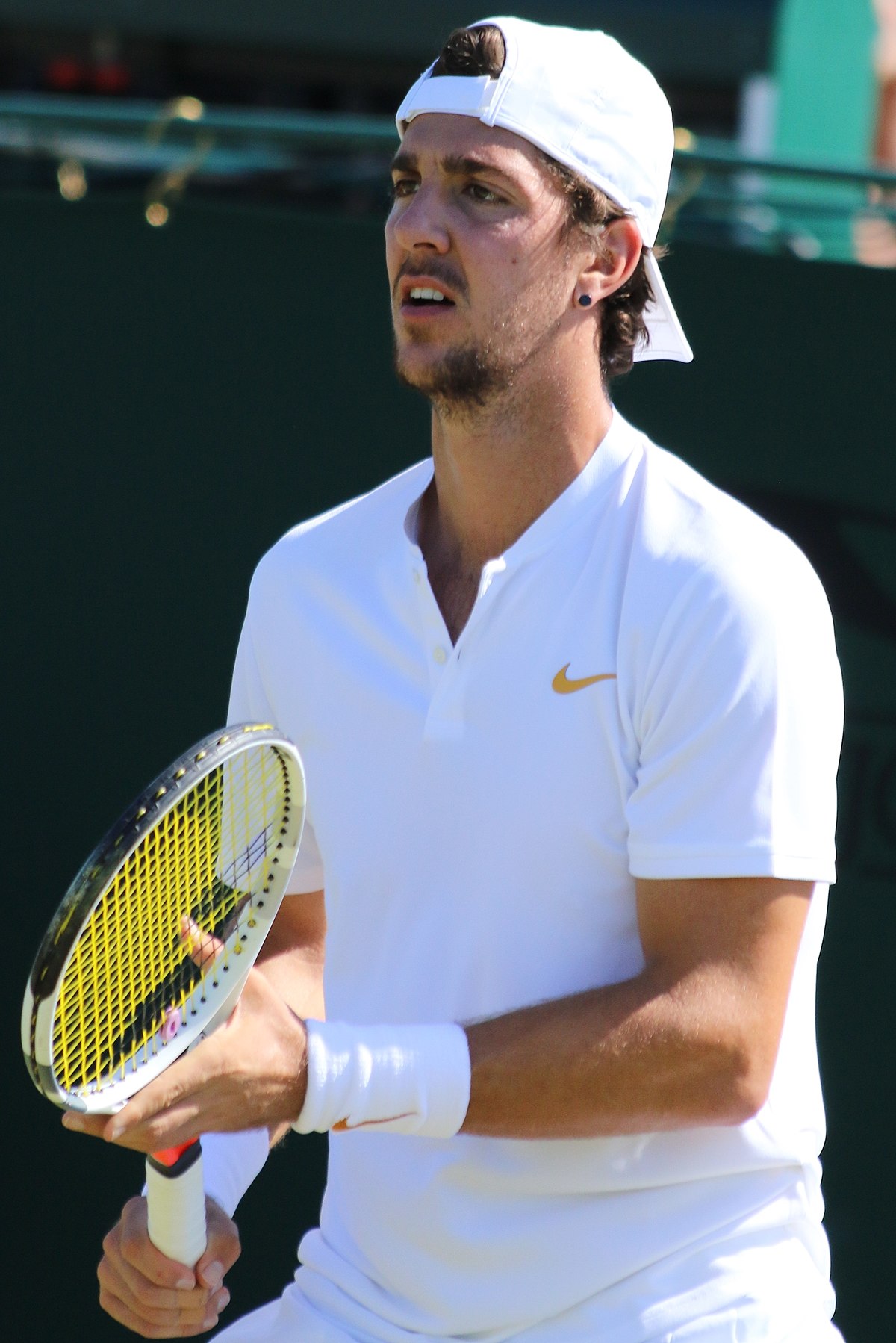 Thanasi Kokkinakis - Wikipedia