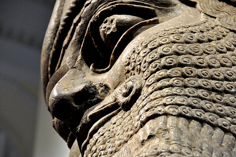 File:Lamassu from the Throne Room (Room B) of the North-West Palace at Nimrud, Iraq, 9th century BC. The British Museum, London.jpg
