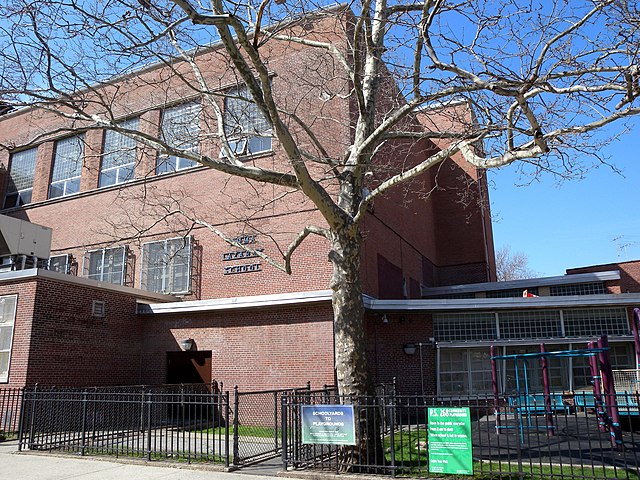 Lazarus Public School, Brooklyn
