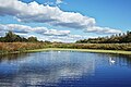 * Nomination: View of one of the basins of the Leers filter basins, in Leers, France --Velvet 07:48, 29 September 2024 (UTC) * * Review needed