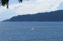 Lighthouse Park as seen from Altamont in the east Lighthouse Park.JPG