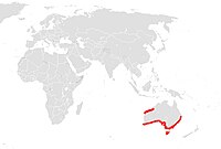 Distribución de L. australiensis