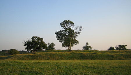 Lindholmens borgruin