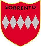 Logosorrentocalcio1945.jpg