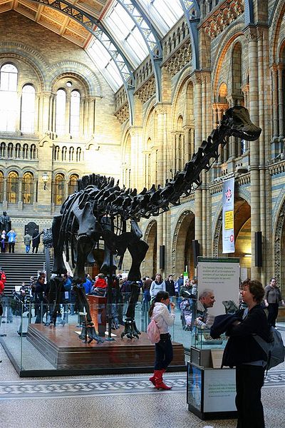 File:London - Natural History Museum interior.jpg