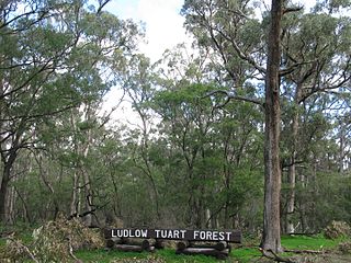 <span class="mw-page-title-main">Tuart Forest National Park</span> Protected area in Western Australia