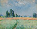 Wheatfield, 1881, MB-Mon-09